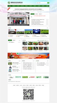 長(zhǎng)沙營(yíng)銷型網(wǎng)站建設(shè)與網(wǎng)絡(luò)營(yíng)銷策劃——湖南移動(dòng)時(shí)代網(wǎng)絡(luò)公司的專業(yè)服務(wù)